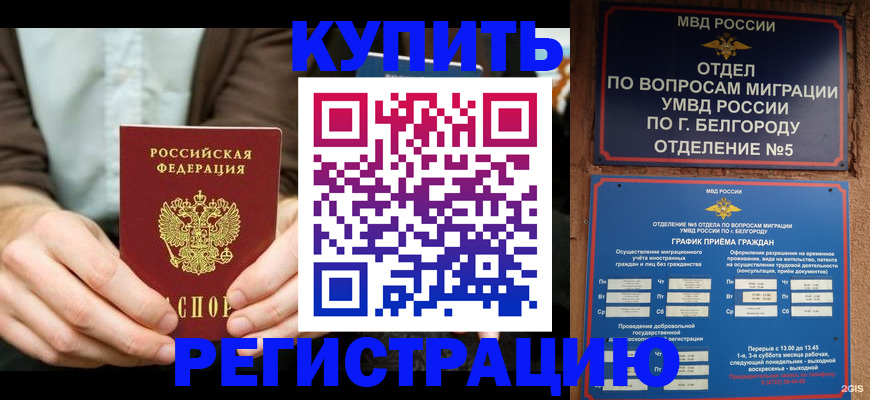 прописка 2025 в Белореченске